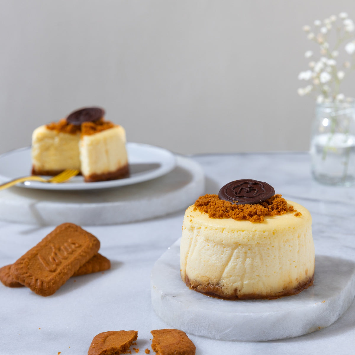 Japanese Lotus Cheesecake Moishi Egypt
