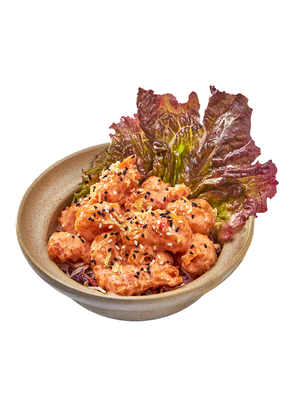 Rock Shrimps