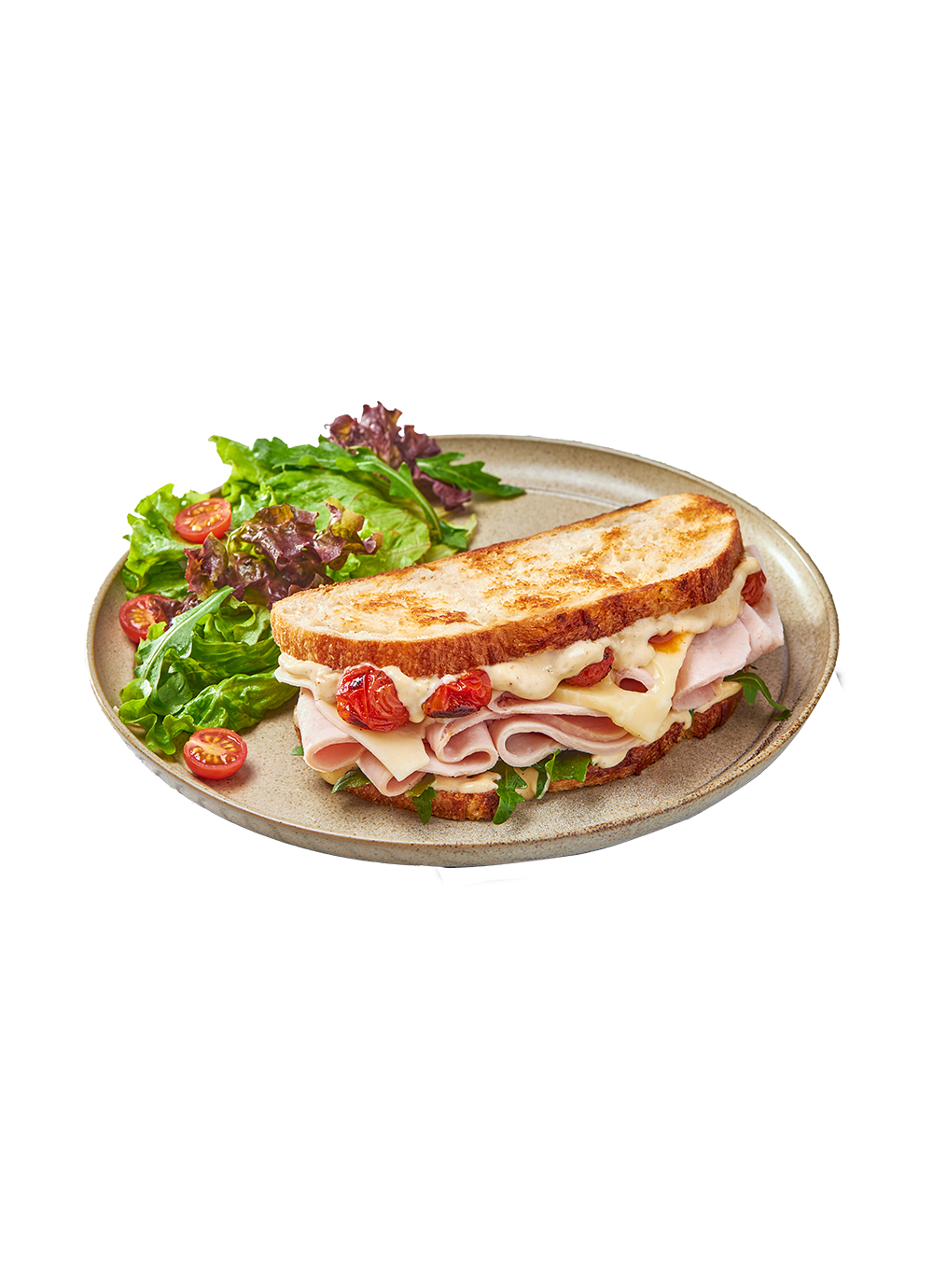 Turkey & Cheese Sandwich